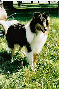 20070227_1173709828_noah1