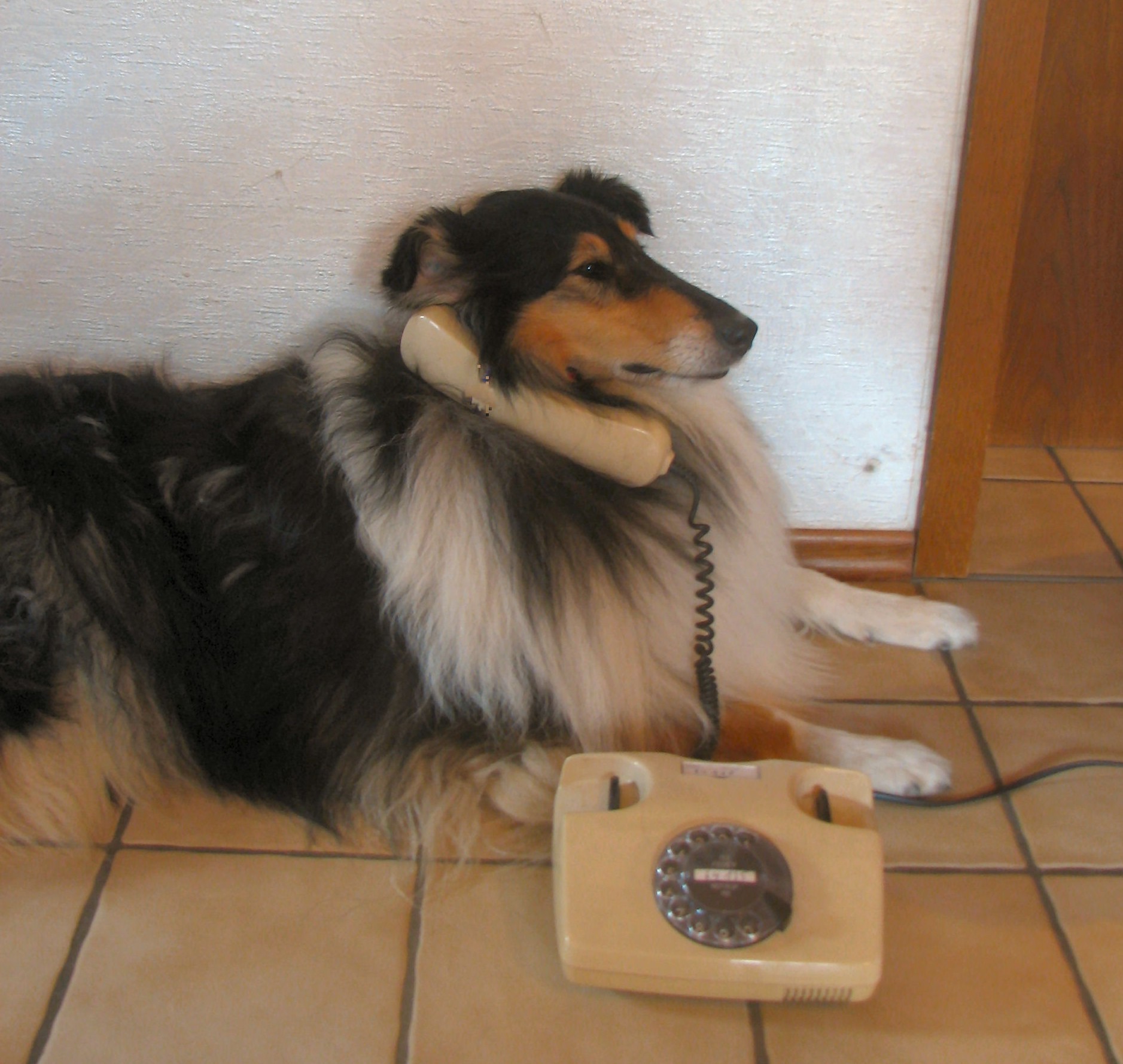 Judy beim Telefonieren