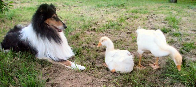 Judy mit Jako und Emma