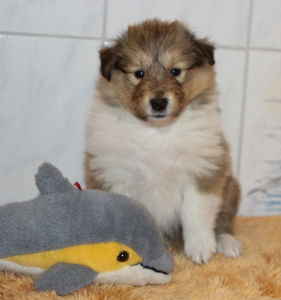 Ronja