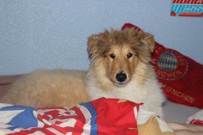 Ronja