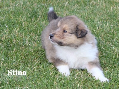 Stina - 4. Woche