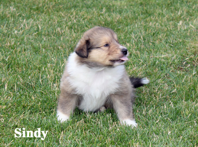 Sindy - 4. Woche